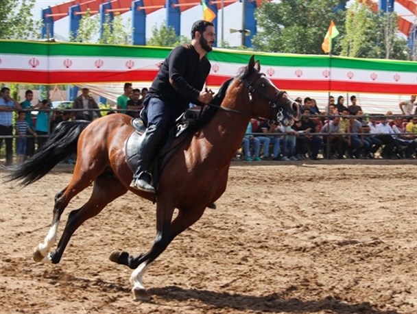 تصاویری از جشنواره زیبایی و سوارکاری در اراک