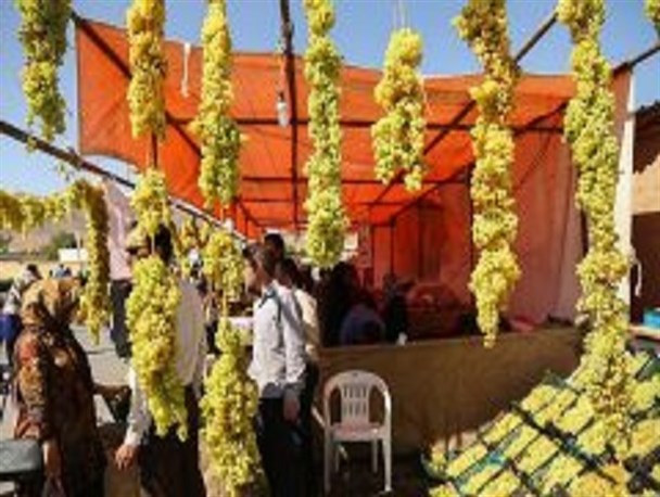 جشنواره گردشگری انگور روستای حسن رباط میمه برگزارشد