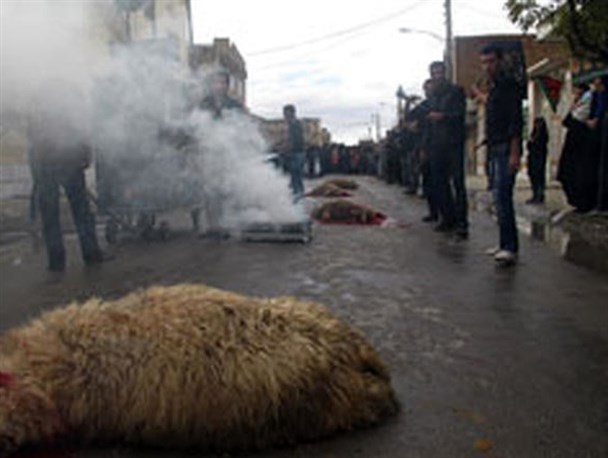 ممنوعیت کشتار دام در معابر عمومی خلیل‌آباد / کشتار دام در ایام محرم باید در کشتارگاه انجام شود