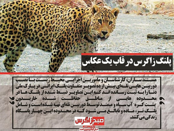 پلنگ زاگرس در قاب دوربین/ اصلاح‌طلبان بویراحمد در سردرگمی