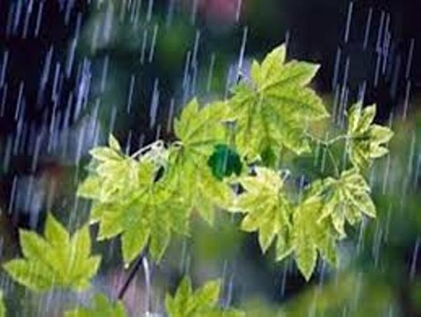 تعطیلی برداشت پنبه بر اثر بارش باران/ ساکنان اصلاندوز بخاری روشن کردند