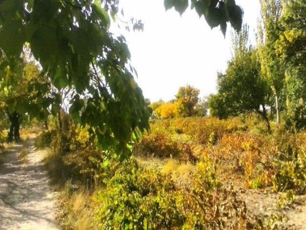 تصاویر زیبای پاییزی؛ روستای فتح‌آباد کمیجان+عکس