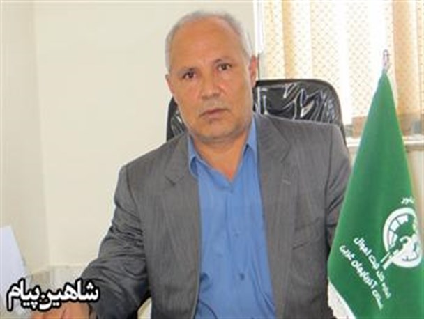هر 24 ساعت 4 نوزاد در شاهین دژ متولد می‌شود