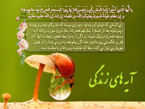 خدا شما را بی نیاز می کند