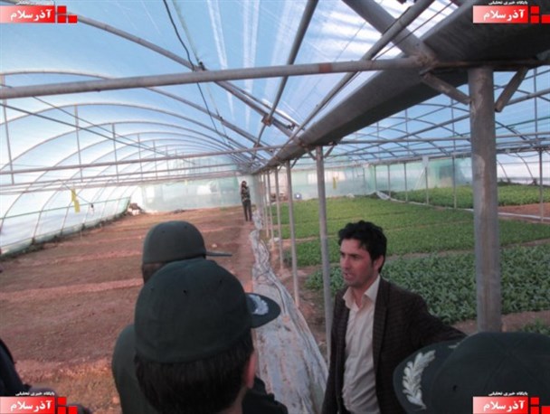آغاز کشت گیاهان دارویی برای اولین بار در استان اردبیل +عکس