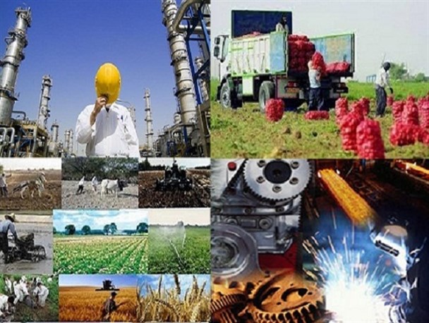 کشاورزی و صنعت بخش های بالقوه مولد شغل در استان کردستان/ گرایش به پشت میزنشینی و افزایش شاغلان در بخش خدمات