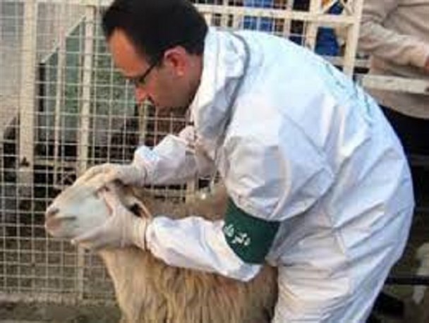 کلاس آموزشی بیماری های مشترک در روستاهای بخش درح برگزار شد