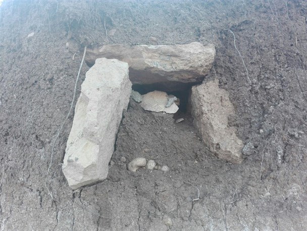 استخوان هایی که از قبر بیرون زده اند+تصاویر