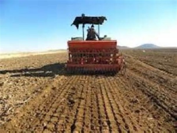 کشت پاییزه گندم در اردستان آغاز شد