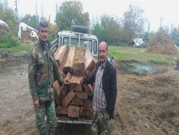 کشف ۲۴ اصله الوار قاچاق در روستای سرکلاته خرابشهر + تصاویر