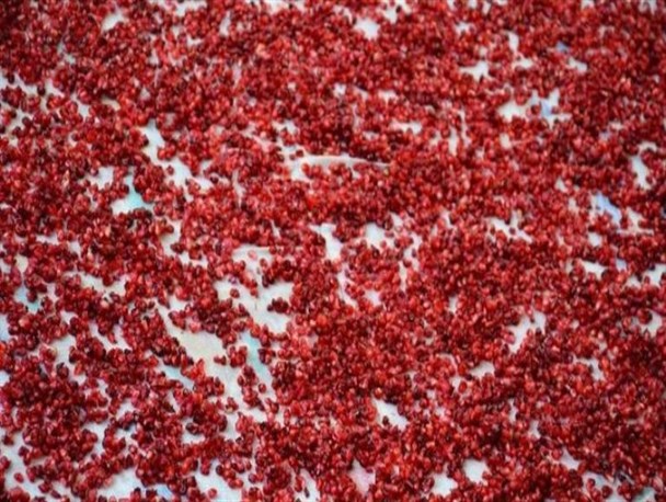 اِنارتیم (ناردنک) سوغاتی از روستاهای کردکوی+تصاویر