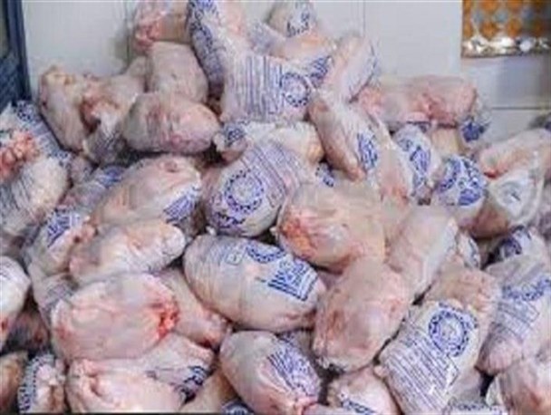 کشف مرغ تاریخ گذشته در یکی از سالن‌های پذیرایی