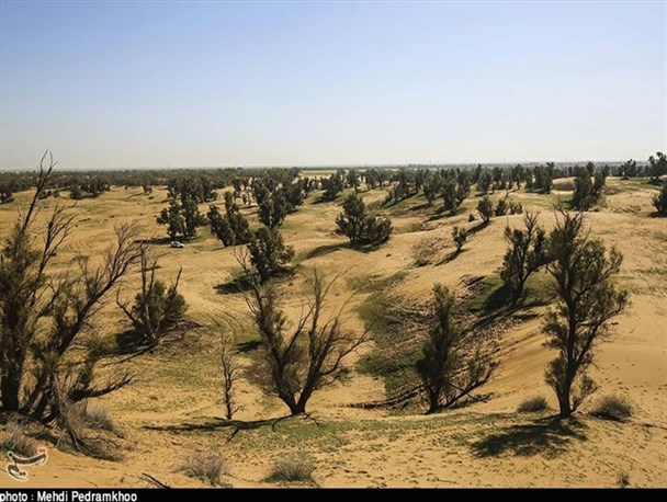 آبخیزداری در استان کرمان تحول مثبتی نداشته است/ نقش اندیشکده‌های آبخیزداری وزارت جهاد کشاورزی چیست؟