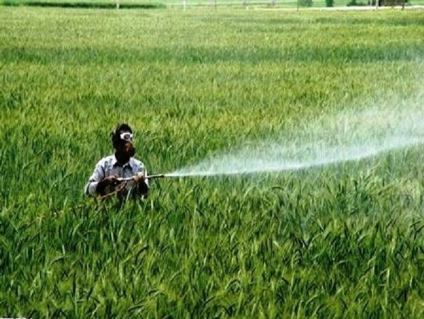 مصرف بی‌رویه کود و سموم موجب آلودگی منابع آبی استان زنجان می‌شود