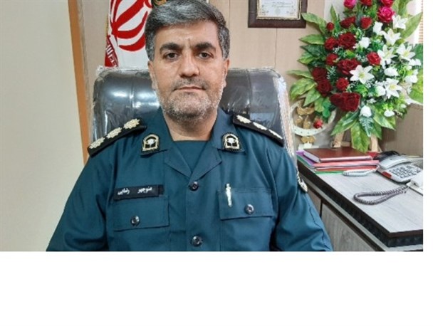 یک محموله 6 تنی چوب قاچاق در سرپل ذهاب کشف و ضبط شد