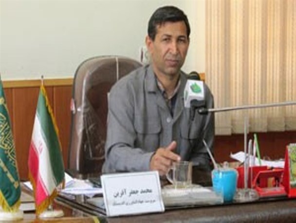کشت بیش از 23 هزار هکتار گندم و کلزا در اندیمشک / پرداخت 17 میلیارد تسهیلات بانکی به کشاورزان اندیمشکی