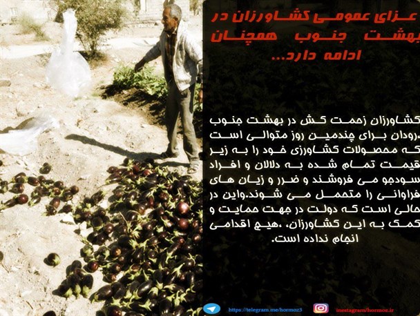 عزای عمومی کشاورزان در بهشت جنوب همچنان ادامه دارد/ اینفوگرافیک