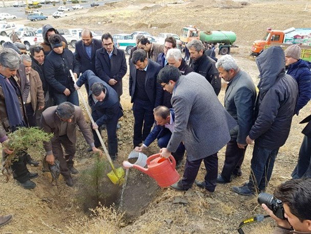 کاشت 120 اصله نهال اُرس در شهمیرزاد/ اجرای 48 طرح جنگلانه در شهرستان مهدیشهر