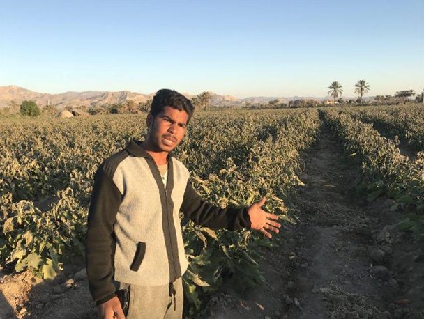 چه فرقی بین کشاورزان خسارت دیده هرمزگانی با کشاورزان استان های شمالی وجود دارد