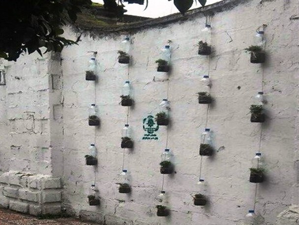 اجرای طرح « دیوار سبز » در بابل +تصاویر