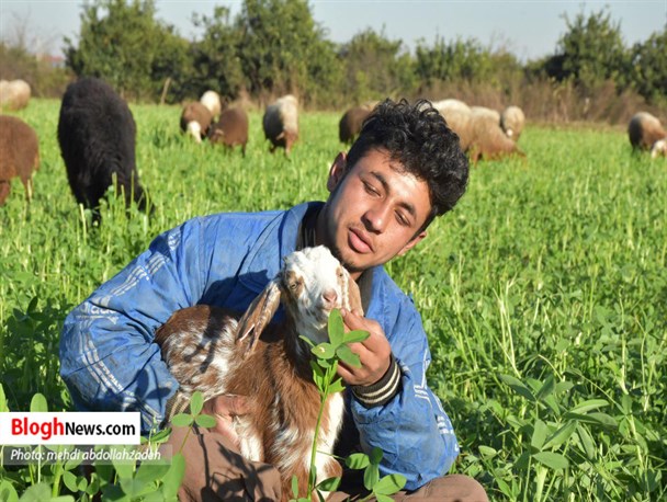 زندگی روستایی در منطقه شیرکاج آمل