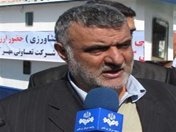 تقویت بازار صادرات خرما در اولویت وزارت جهاد کشاورزی قرار گرفت