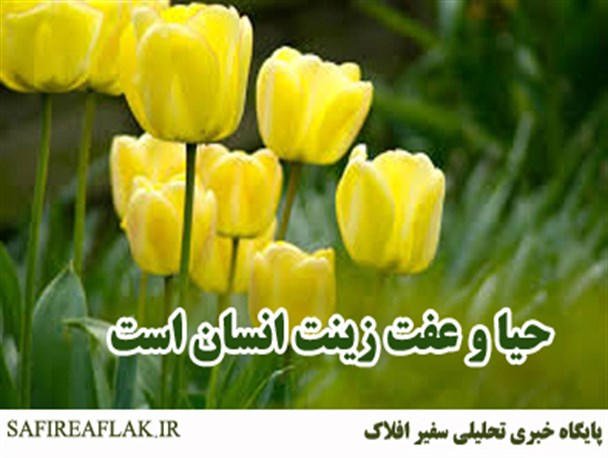 حیا و عفت زینت انسان است