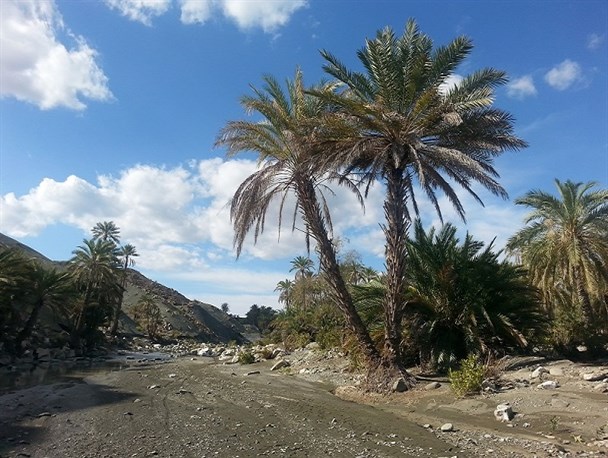 طبیعت بکر سردشت بشاگرد به روایت تصویر