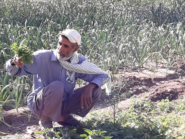 اجرای فرامین رهبر انقلاب در زمینه اقتصاد مقاومتی توسط پیرمرد جهادگر هرمزگانی