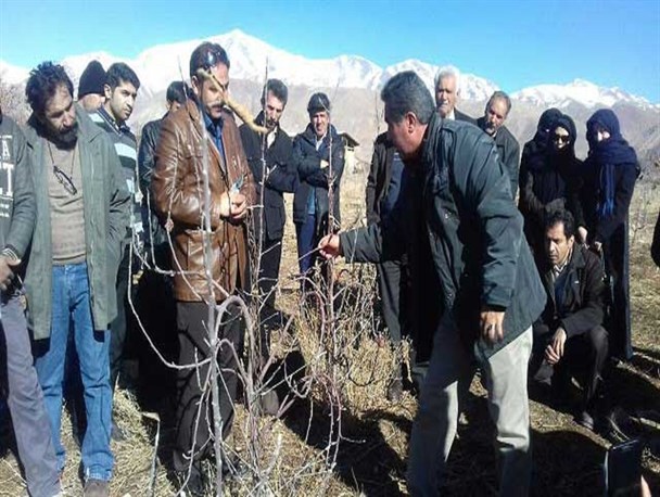 برگزاری ﮐﺎرﮔﺎه آﻣﻮزﺷﯽ ﻫﺮس زمستانی درﺧﺘﺎن در شهرستان دماوند+تصاویر