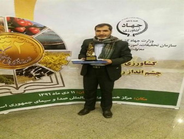 300 هکتار سطح زیر کشت گندم دیم دارم/ 4 عنوان برتر تولید کننده گندم دیم را کسب کرده ام