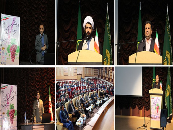 ایجاد دومین مزرعه الگویی انگور کشور در سرخس/ ۶ هکتار از اراضی سرخس زیر کشت انگور رفت