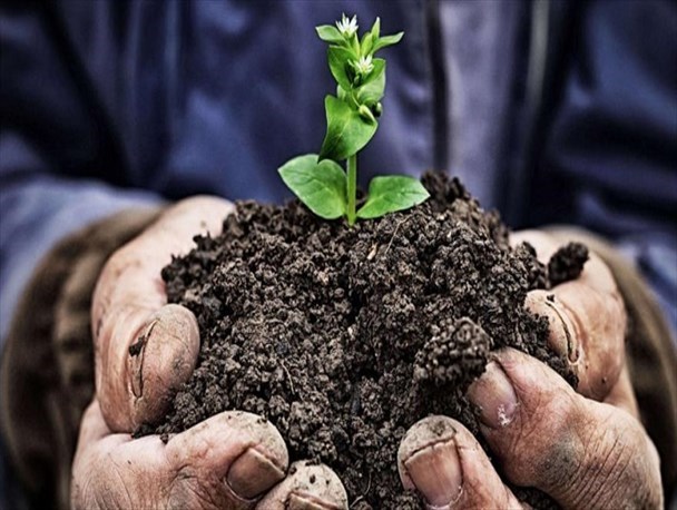 خاک حاصلخیز مهمترین سرمایه طبیعی البرز است/ مسئولان با حذف دلالان، عزت کشاورزان استانی را حفظ کنند