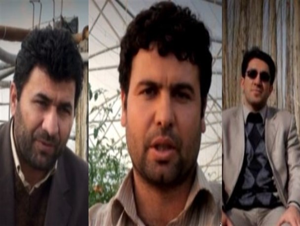 از تولیدات گلخانه ای تا پرورش ماهی در شهرستان میانه