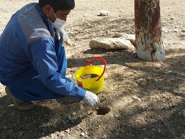 طرح جونده کشی در بیضا عملیاتی می شود