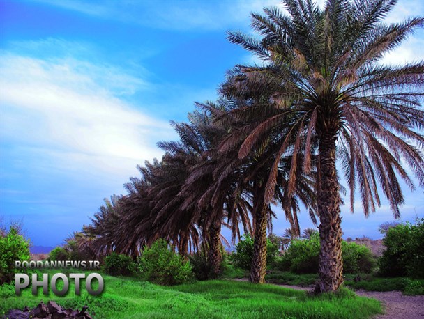 بهشت جنوب؛روستایی زیبا در دل آفتاب+ تصاویر‬