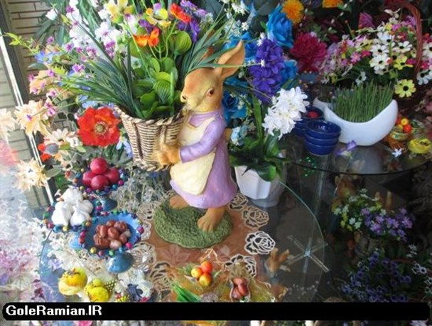 رامیان با یک گلفروشی بهار می شود/تصاویر