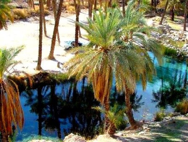 "سبزپوشان" چشمه ای که با تغییر فصل، تغییر طبع می دهد+ تصاویر