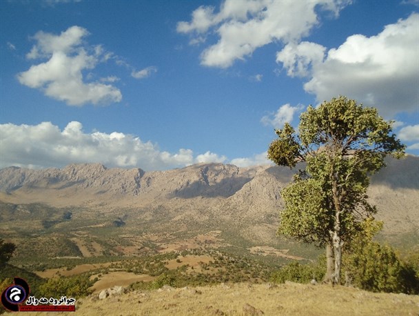 باغستان بیلایی، کوهپایه ای با آب و هوایی مطبوع