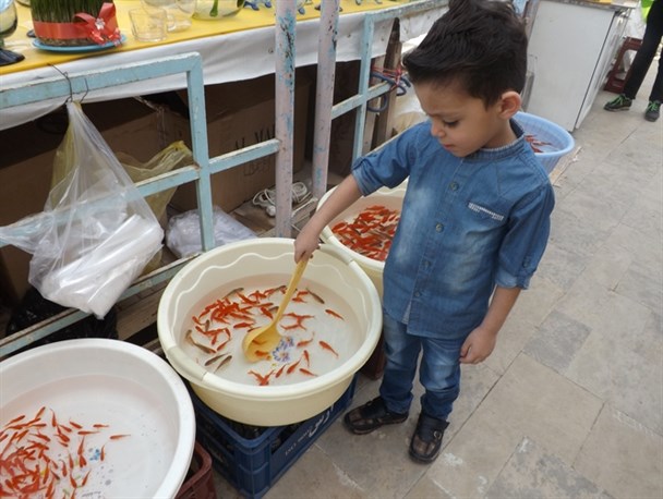 سال نو و ماهی قرمز +عکس