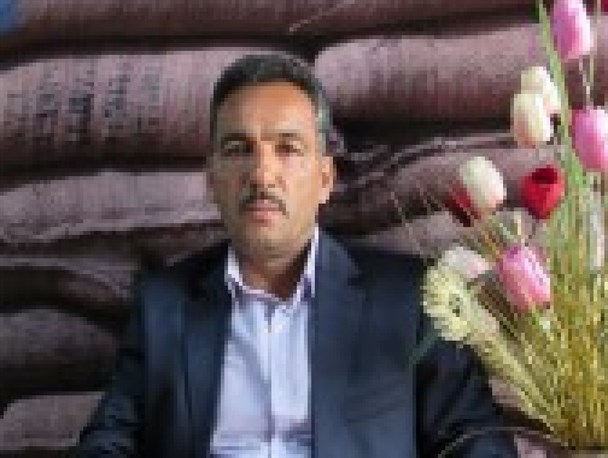 بمب باران شیمیایی حلبچه یک نسل کشی بود/ صدام و همدستانش صحنه های دلخراشی در دفاع مقدس رقم زدند