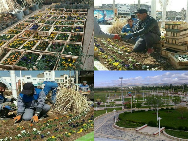 کمیجان برای استقبال از بهار مهیا می‌شود+تصاویر