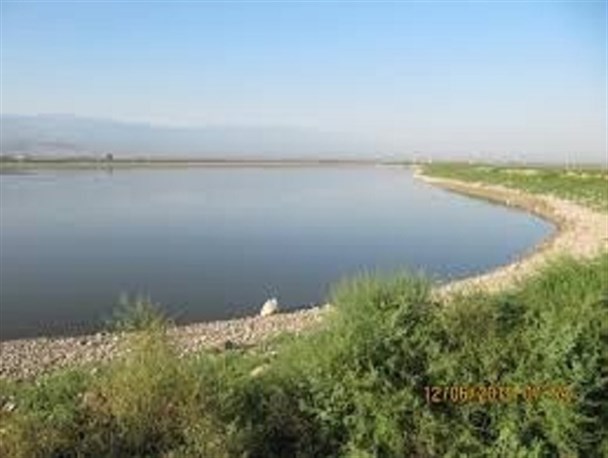 90 درصد آب‌بندان‌های جویبار آبگیری شدند/ توزیع 50 تن بذر بین کشاورزان