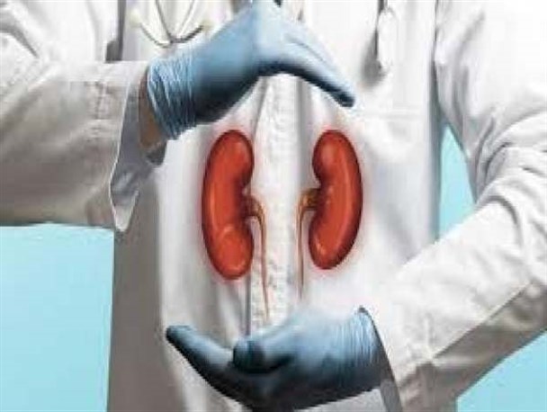 هزینه پیوند کلیه بالای ۱۵۰ میلیون تومان است/ ۱۰ بیمار زنجانی پیوند کلیه شدند