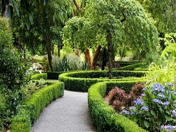 افزایش سرانه فضای سبز محلات شرق تهران در سال 1401