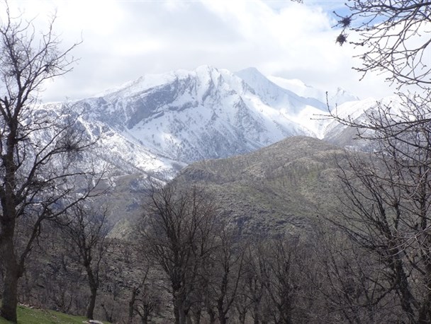 سردشت؛ کوهستان و جلوه ای دیگر از زیبایی