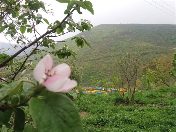 تصاویری از طبیعت زیبای روستای شیخ لر گرمی