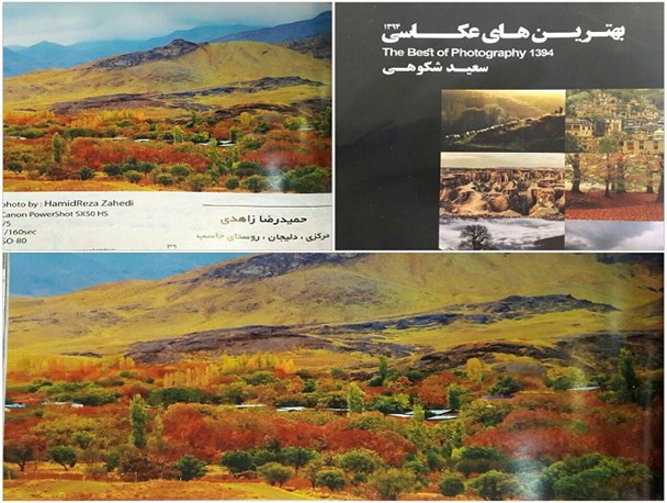 عکس هنرمند دلیجانی در بین برترین عکس های سال 94 قرار گرفت