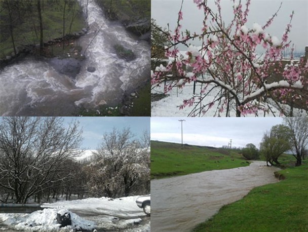 تصاویری زیبا از بارش برف و باران در تویسرکان/شکوفه ها غافلگیر شدند