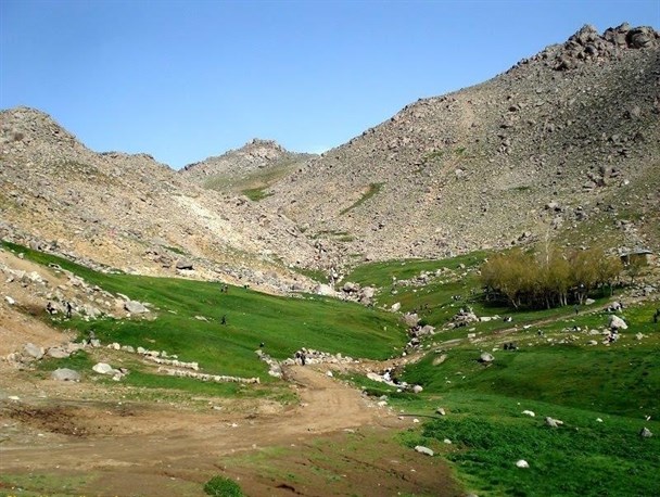 تلفیق دو عنصر طبیعت و کوهستان در بهارهای الوند